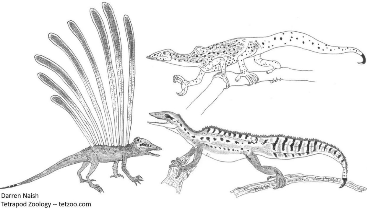 <i>Longisquama</i> und die Drepanosauriden