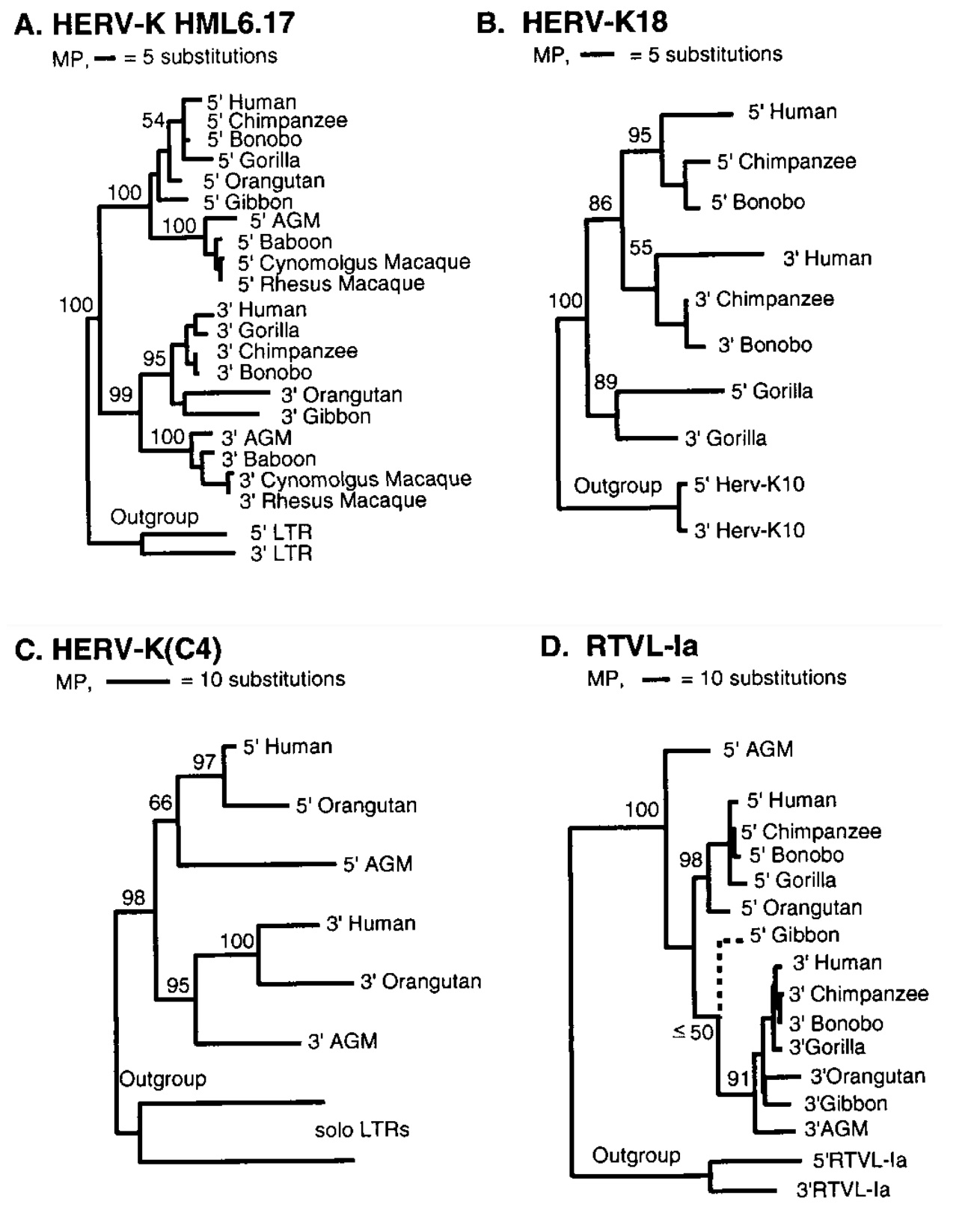 Verwandtschaftsbeziehungen von Primaten anhand verschiedener Proviren